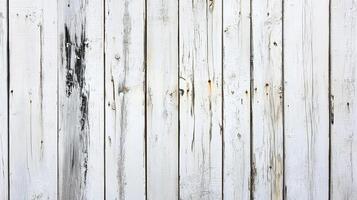 Weathered white painted wood paneling creates a rustic and textured backdrop, showing signs of age and exposure. photo