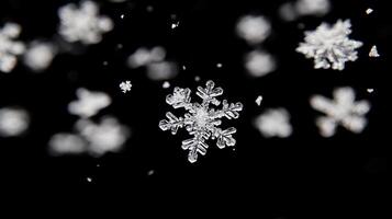 A close-up shot showcases the intricate beauty of snowflakes against a stark black backdrop, highlighting the delicate designs and textures photo