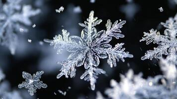 A macro shot captures the intricate details of a beautiful snowflake, revealing its delicate and crystalline structure against a dark background. photo