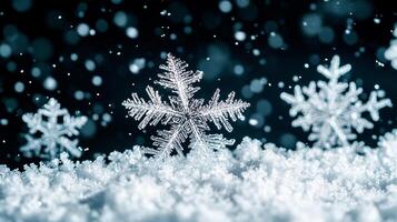 Macro shot of a snowflake on snow showcasing the unique and intricate details of its ice crystal structure against dark background. photo