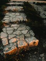 Stone paved path illuminated by golden sunset light. Warm sunlight illuminating a stone paved path with grass growing in between the slabs, evoking a sense of tranquility and the beauty of nature photo