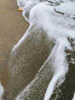 White sea foam gently washing over fine sand at the beach, forming a soothing pattern, while a small shell rests peacefully on the shore under the bright sun. Soft white foam lapping sandy shoreline photo