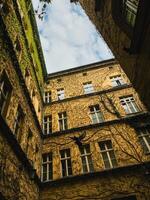 Pigeon soaring gracefully in the courtyard of an old building adorned with lush ivy, framed by charming windows and a backdrop of a cloudy sky. Urban pigeon flying near weathered brick wall photo