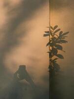 Plant and smartphone user casting shadows on textured wall. person casting shadow on textured wall, sunlight creating minimalist silhouette composition. aesthetic and minimalist abstract composition photo
