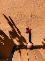 Dried botanical resting in earthy ceramic vessel. Minimalist composition featuring a dried flower in a brown ceramic vase on a wooden table, casting dramatic shadows against a textured orange wall photo