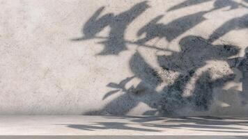 Background of nature cement texture with shadow leaves, Empty grey cement wall floor and wall room, Well display product and text present on free space, Luxury backdrop, Loft style concrete floor. photo