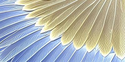 a close up of a blue and yellow feather photo