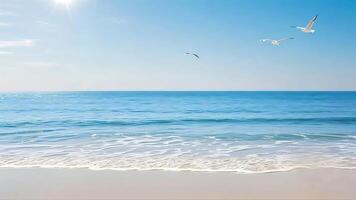 Seagulls flying over the ocean on a sunny day photo