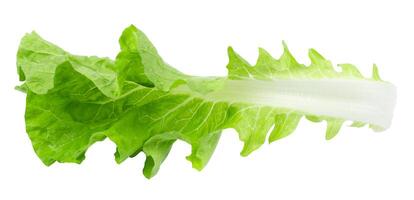 Lettuce leaves isolated on a white background photo