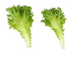 Frillice Iceberg Lettuce isolated on a white background photo