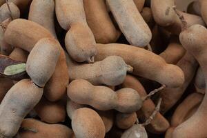 top view of Pile of ripe Tamarind fruits.Sweet ripe tamarinds. photo
