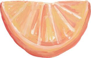 an orange slice is shown in this painting vector