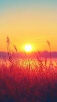 Vibrant sunrise illuminating tall grass in a tranquil landscape photo