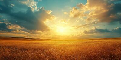 Golden sunset illuminating a serene grassy field with vibrant clouds overhead photo