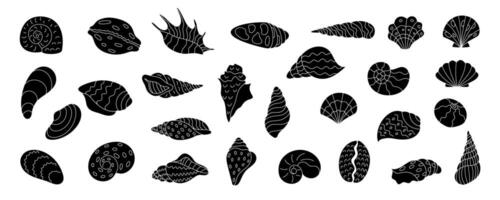 Black silhouette illustrations of seashells. Various shellfish and conch designs. Marine elements with underwater life, isolated flora and fauna shapes. vector
