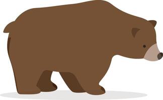 Grizzly bear Illustration with flat design style vector