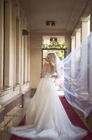 beautiful blonde bride in a beautiful hotel, in an arch in a long wedding dress. bride, view from the back, she has wavy blonde hair, open shoulders. veil of airy chiffon flies in the air photo