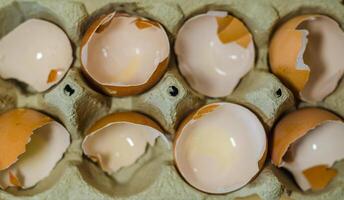 Texture of broken empty eggshell in carton box. View from above. High quality photo