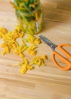 Withered daffodils and orange-handled scissors on a wooden surface in the light. High quality photo