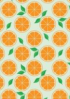 Orange Fruit Texture Pattern Background vector