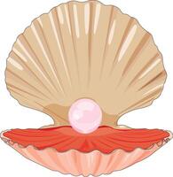 Beautiful Pearl Open Shell Seashell And Scallop vector