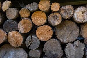 Stack of firewood logs with visible tree rings and rough texture photo