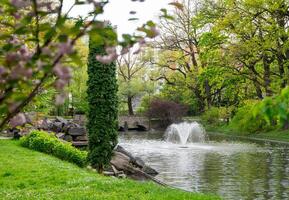 Beautiful view of the city park with a lake and a fountain on a sunny spring day. photo