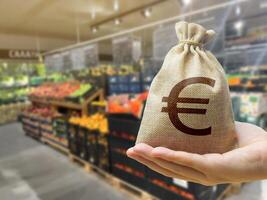 Money bag on the background of a grocery store counter with fresh organic vegetables and fruits. Concept of cost of goods and food products. Grocery set. Import and export photo