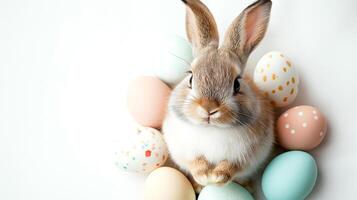 Happy easter Cute white bunny sitting with the easter eggs white color scheme and flowers on white background and copy space photo
