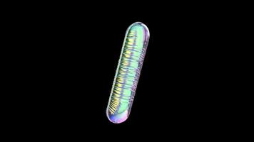 I Balloon Iridescent Typefaces On Alpha Loop video