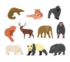 A collection of illustrations featuring endangered wildlife species from around the world, including mammals and reptiles. For conservation awareness, environmental projects and educational materials vector