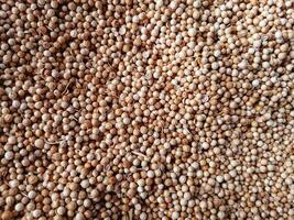 Background Texture of Dried coriander seeds. Dried coriander seeds used as a spice in cooking. coriander spice texture. Top view, Flat lay. Organic food, healthy lifestyle. Medicinal herbs and spices photo