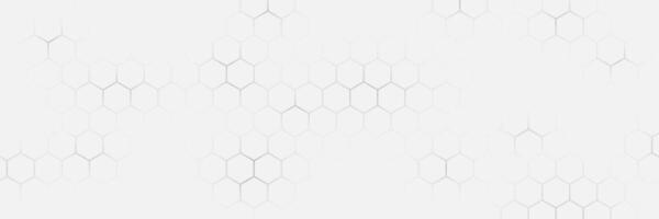 Minimal White Hexagonal Abstract Background vector