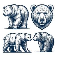 Polar Bear AI Generate Design Bundle vector
