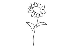 Minimal sunflower outline in one stroke vector