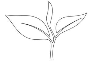 Hand-drawn leaf in one line style for elegant illustration vector