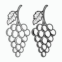 grapes coloring pages vector