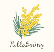 Spring greeting card with a bouquet of flowers, mimosa. vector