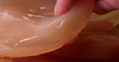 Detailed and closeup view of the fascinating Kombucha fermentation process in action video