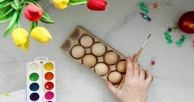 Explore vibrant Easter egg decoration with tulips and paints for a joyful celebration video