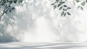 Elegant natural setting with delicate branches and shadows creates a serene atmosphere with soft light and a bright backdrop. photo