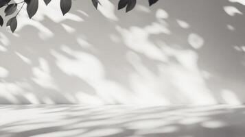 Elegant interplay of light and shadow, casting botanical patterns on a pristine white wall and floor, creating depth and visual interest. photo