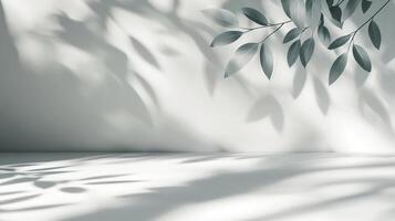 Minimalist scene with leaf shadows cast on a stark white wall and floor, creating a serene and modern aesthetic background. photo