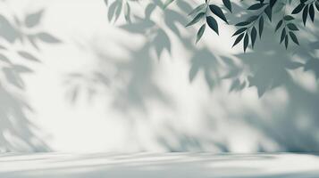 Elegant botanical shadows dance across a pristine surface, casting a serene and calming ambiance, blending nature with minimalist design. photo