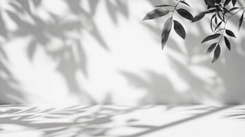 Serene, neutral backdrop with leafy shadows creating a calming ambiance. Ideal for minimalist designs and product presentations. photo