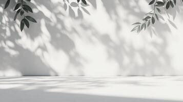 Elegant white backdrop with leaf shadows casting graceful patterns. Ideal for showcasing products or creating a serene ambiance in designs. photo