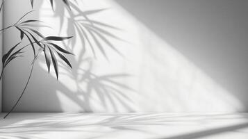 Monochromatic scene with contrasting light and shadows. A single plant with long leaves. Reflected plant pattern from the sun is projected. photo
