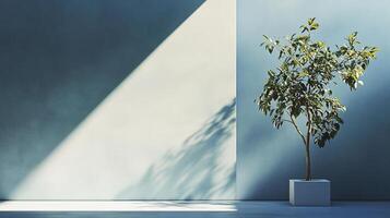 Sunlit plant against a blue wall creates a minimalist and serene ambiance with contrasting shadows for an elegant display of nature. photo