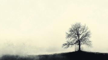 Solitary Tree Silhouette in the fog, creating a stark contrast between nature and the monochrome landscape on a foggy day. photo