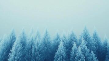 A wintry forest scene with frosted trees in a tranquil, cool toned landscape. The crisp air and blanketed trees create a serene environment. photo